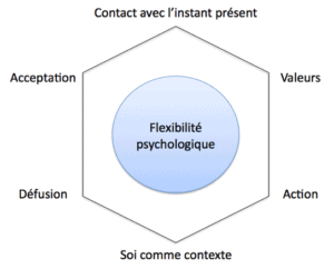 Thérapie ACT Hexaflex