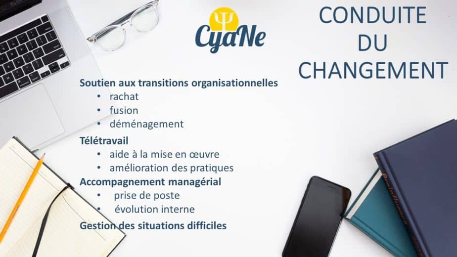 offre prestations entreprises 2 psychologie des organisations accompagnement managérial soutien transitions organisationnelles conduite du changement